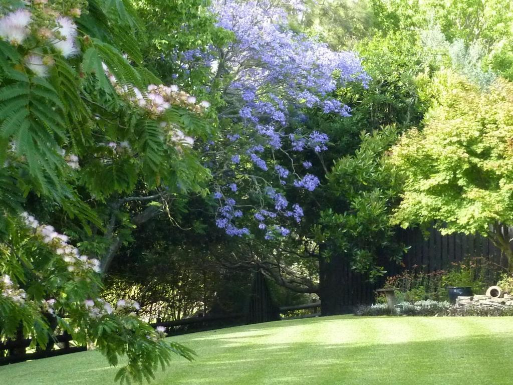 التمز Thorold Country House المظهر الخارجي الصورة